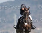 Curcio Carry Money TosTour2013- S5 2917 : Arezzo, Arezzo Equestrian Centre, Carry Money, Curcio Serena, Toscana Tour 2013, foto di Stefano Secchi ©